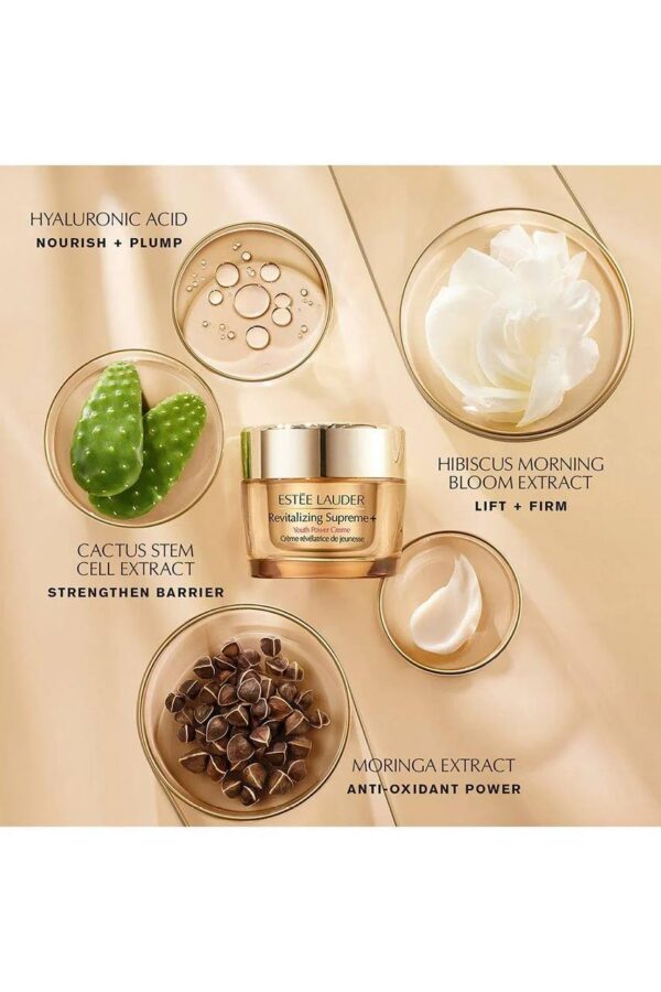 Estee Lauder Essential Set - Image 5