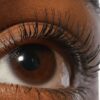 Refy Lash Sculpt - Image 2